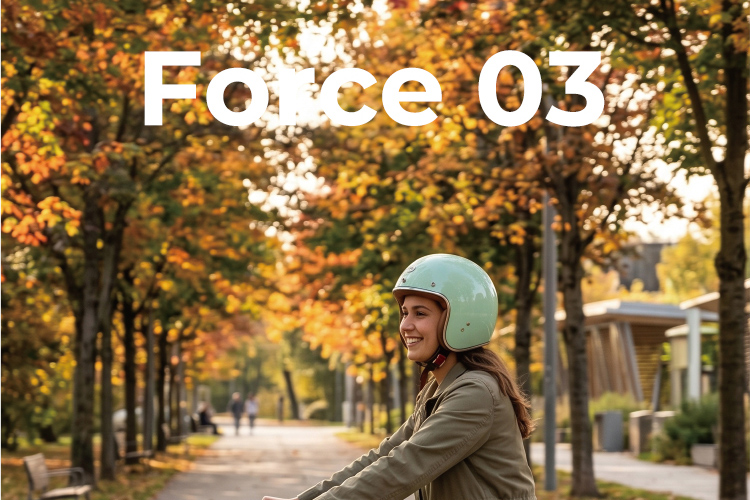 force03_01_02